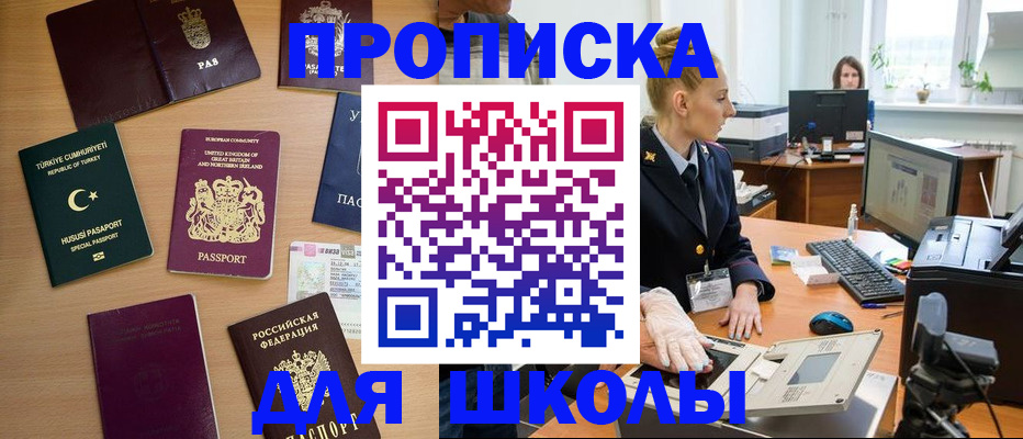 где прописаться в Мытищах